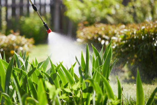 24/7 Emergency Mosquito Control experts in Jefferson, GA